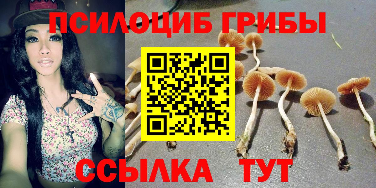 Коркино  где купить наркоту  Вход с VPN  Галлюциногенные грибы Cubensis 
