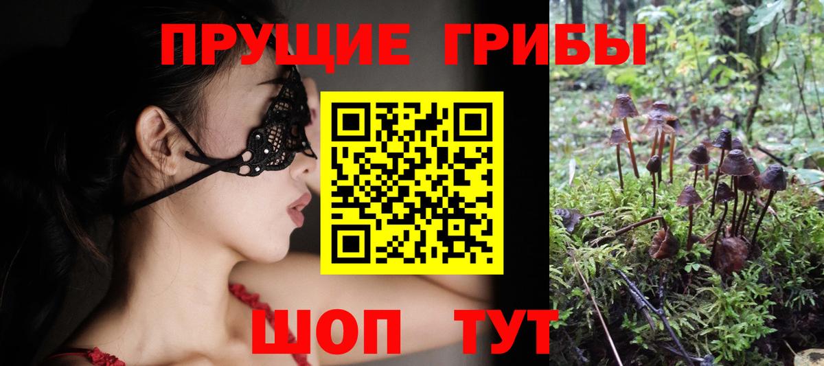 МАРИХУАНА Коркино