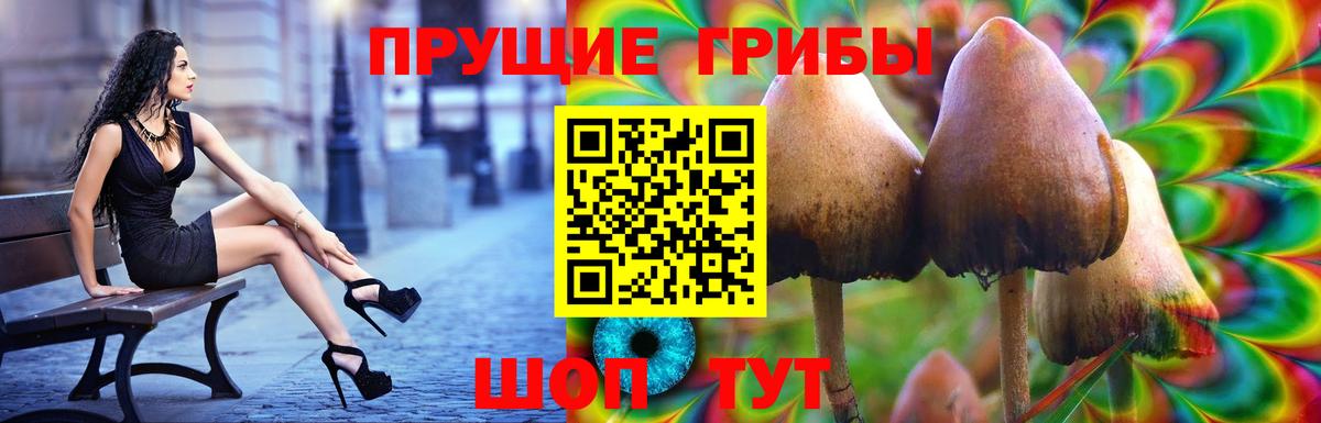 Псилоцибиновые грибы прущие грибы Коркино